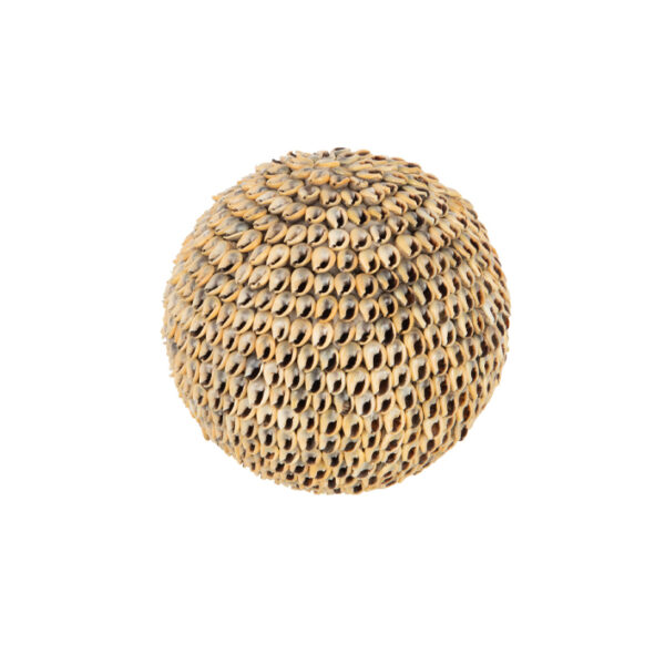 Ornament bol Noa schelpen