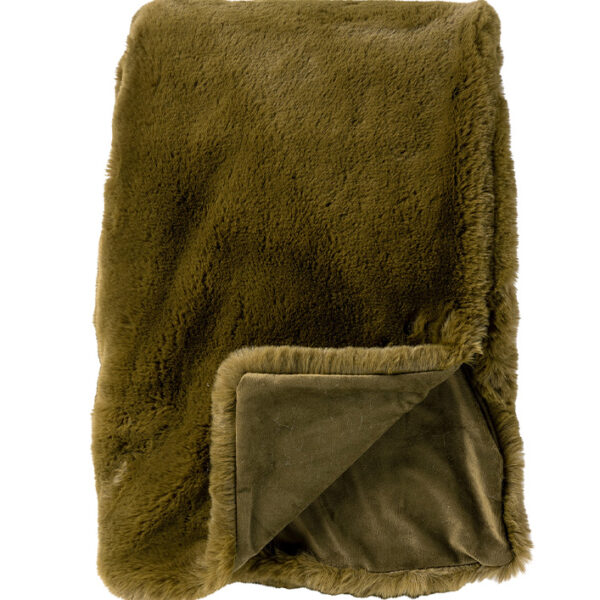 Plaid Zinzi Groen